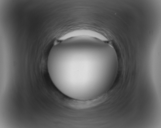 X0000085310037200703302032