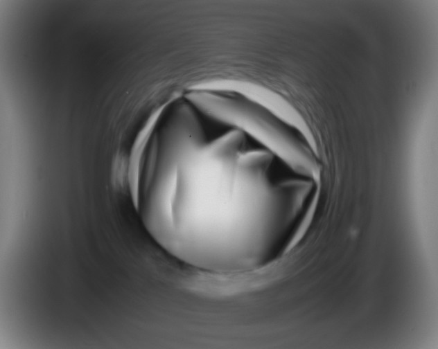 X0000085310041200703302032