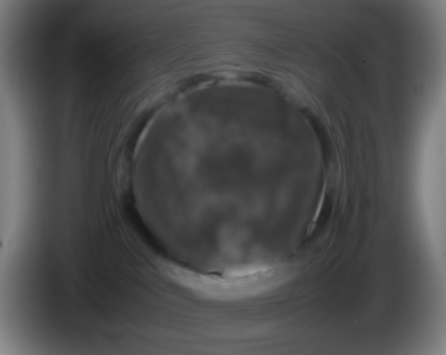 X0000085310043200703302032