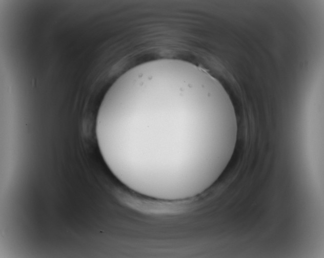 X0000085310044200703302032