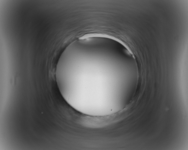 X0000085310045200703302032