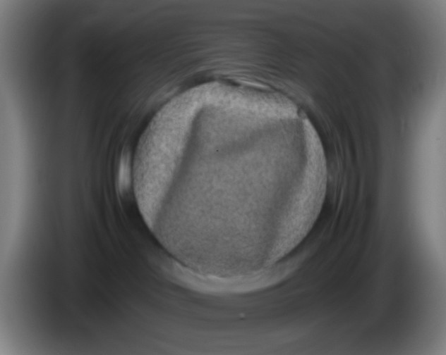 X0000085310046200703302032