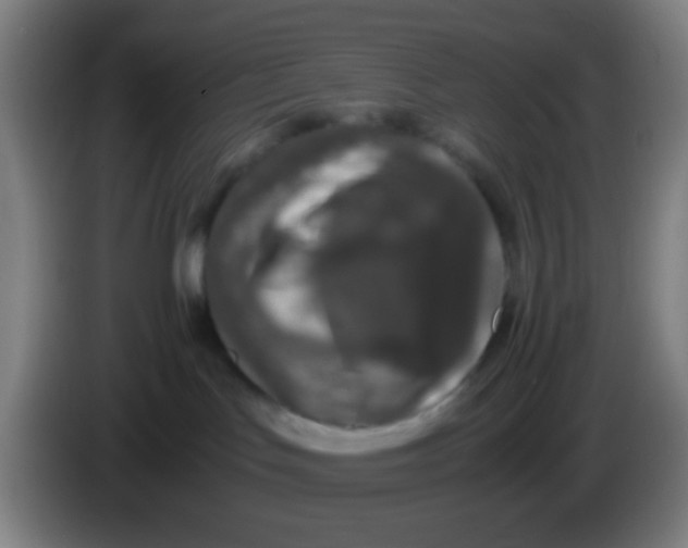 X0000085310047200703302032