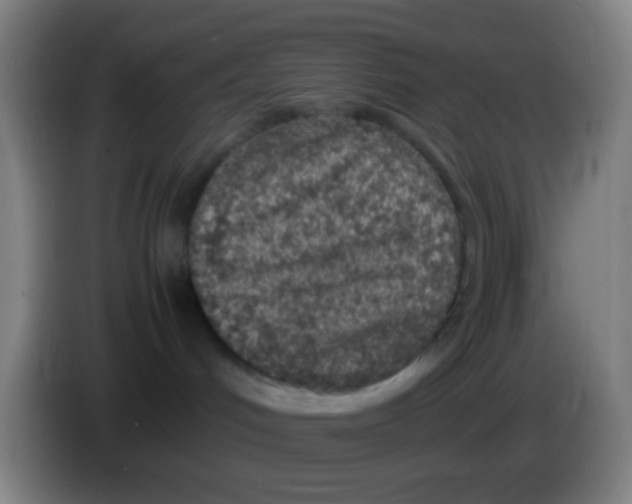 X0000085310048200703302032