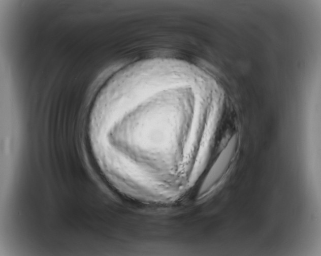 X0000085310049200703302031