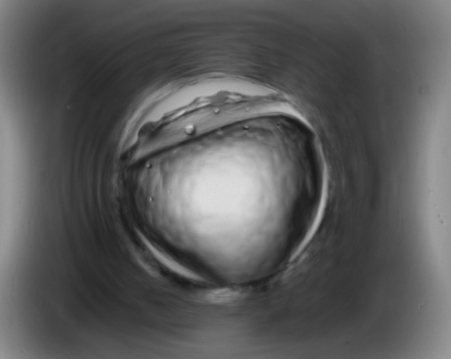 X0000085310050200703302031