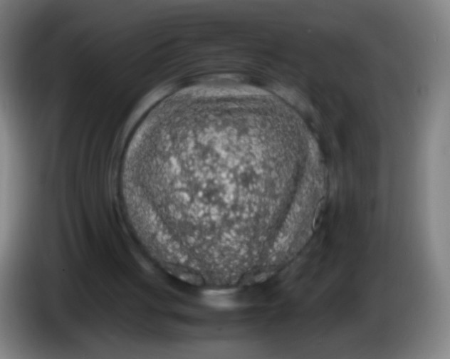 X0000085310051200703302031