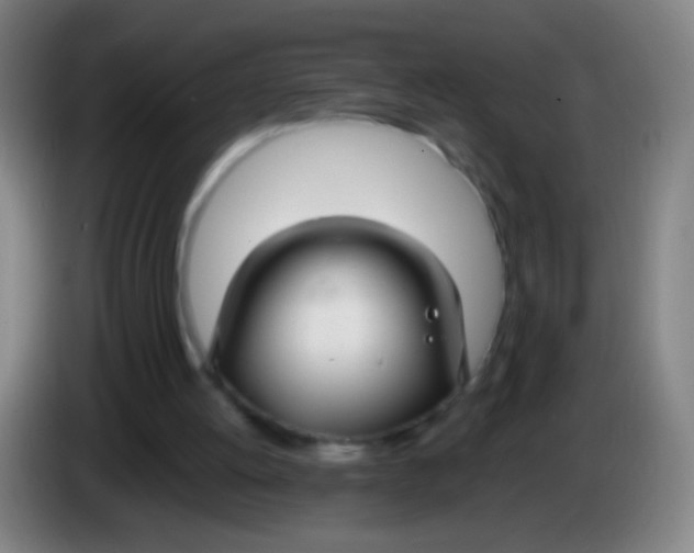 X0000085310052200703302031