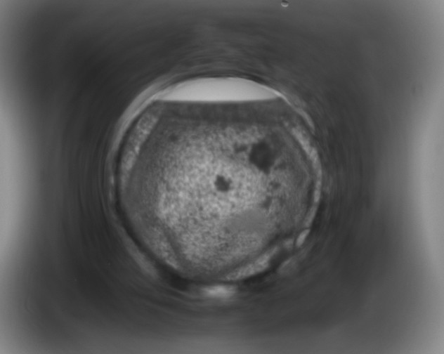 X0000085310053200703302031