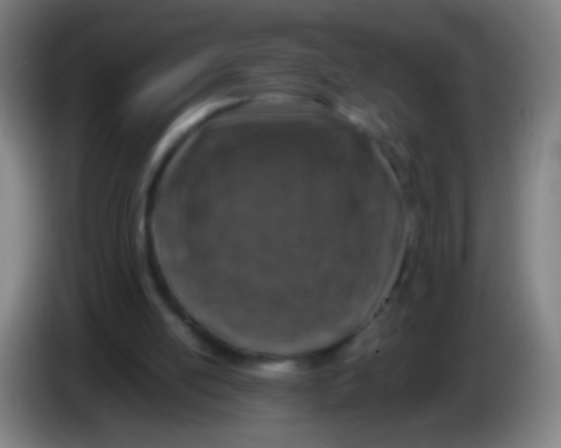 X0000085310054200703302031