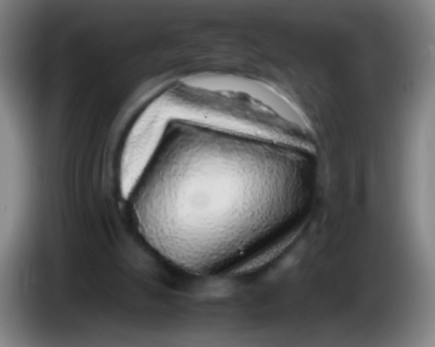 X0000085310055200703302031