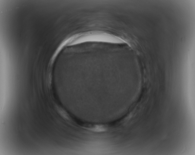 X0000085310056200703302031