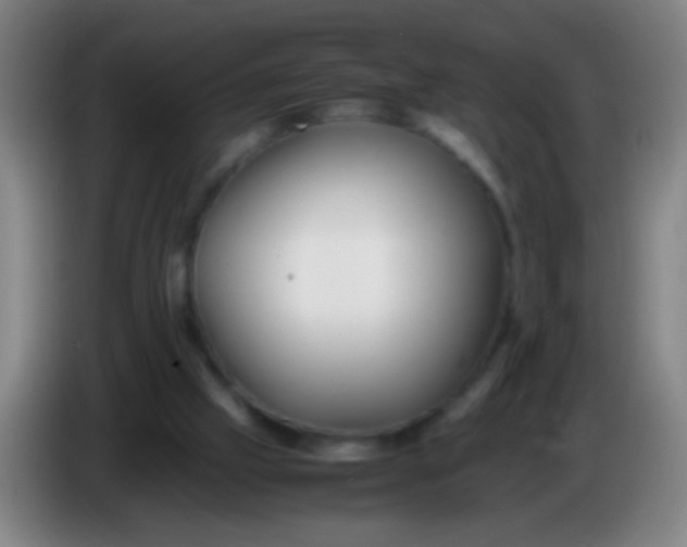 X0000085310057200703302031