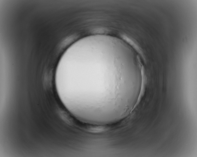 X0000085310058200703302031