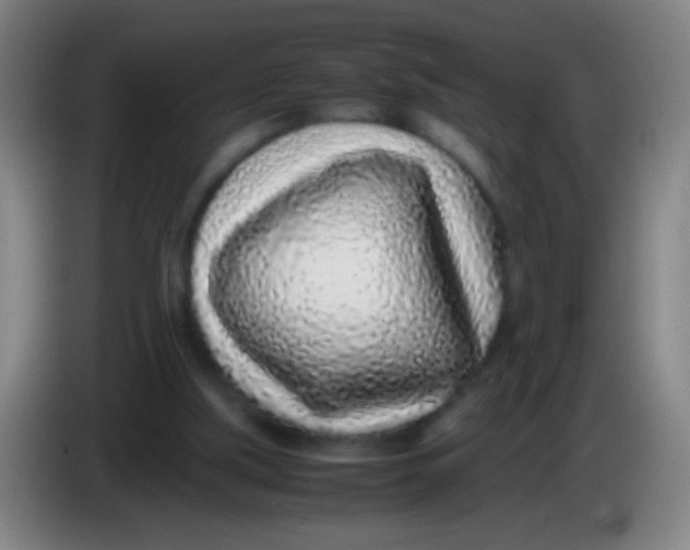 X0000085310059200703302031