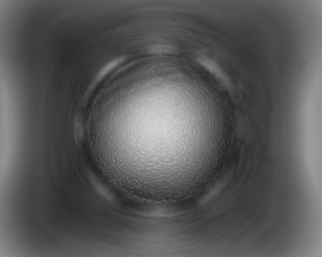 X0000085310060200703302031