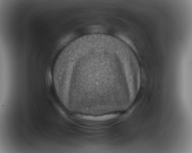 X0000085310061200703302031