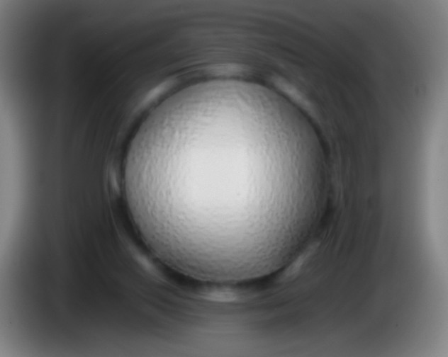 X0000085310062200703302031