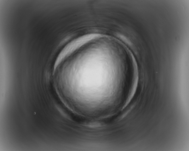 X0000085310063200703302031