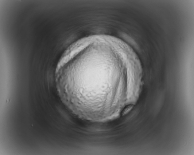 X0000085310065200703302031