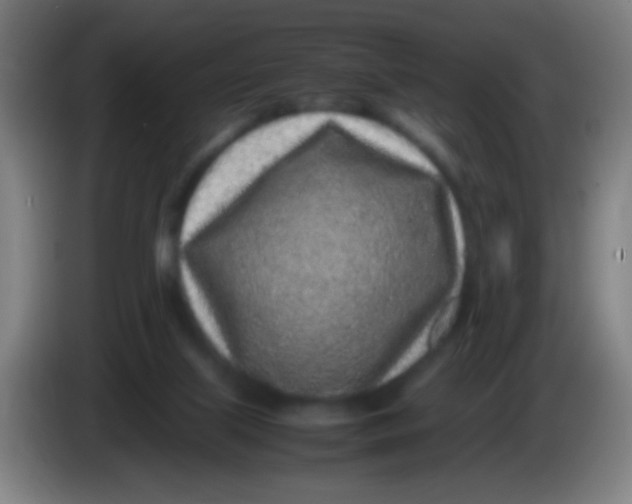 X0000085310067200703302031