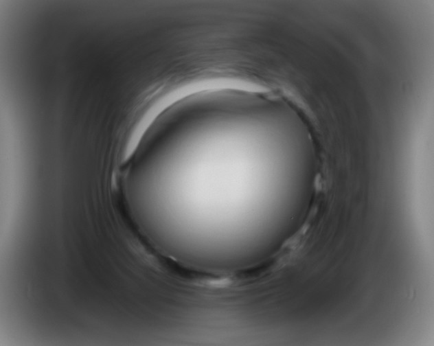 X0000085310068200703302031