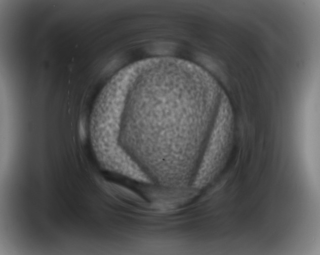 X0000085310069200703302031