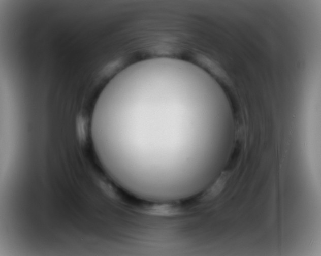 X0000085310070200703302031