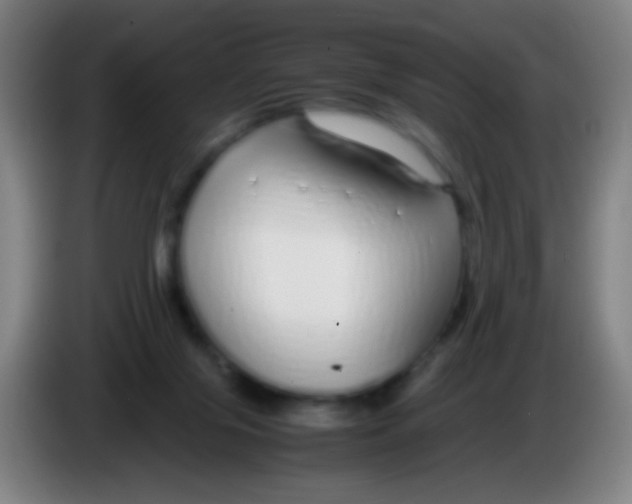 X0000085310071200703302031