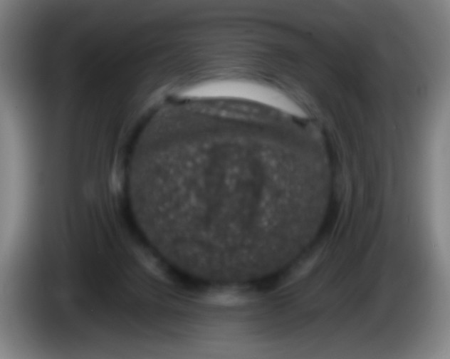 X0000085310072200703302031