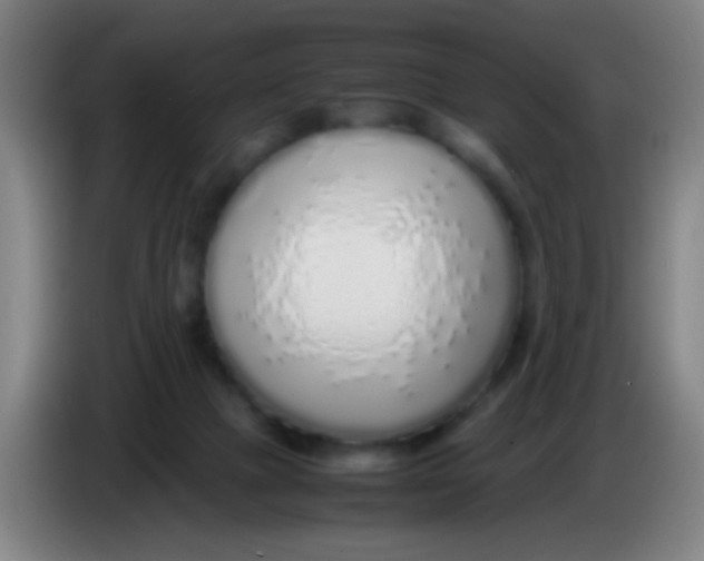 X0000085310073200703302032