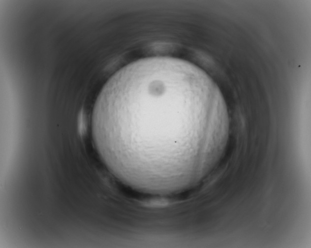 X0000085310075200703302032