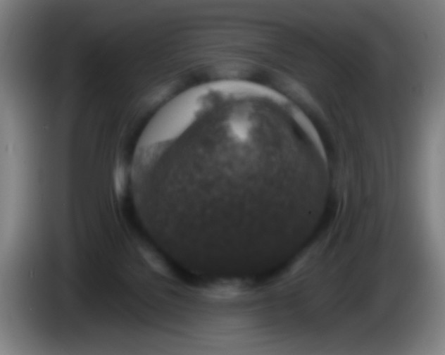 X0000085310076200703302032