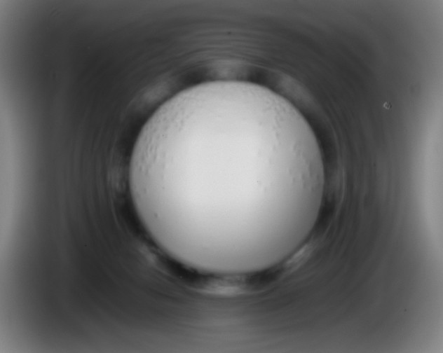 X0000085310078200703302032