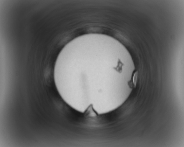 X0000085310079200703302032