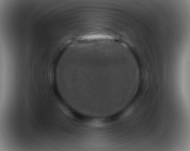 X0000085310080200703302032