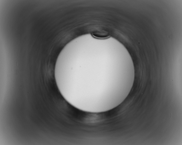 X0000085310083200703302032