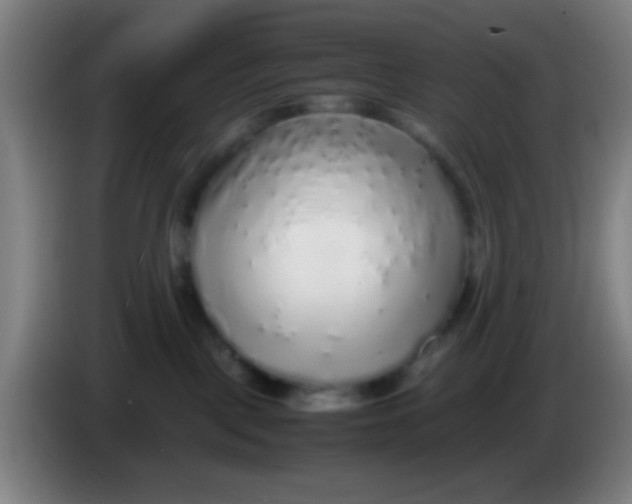 X0000085310093200703302032