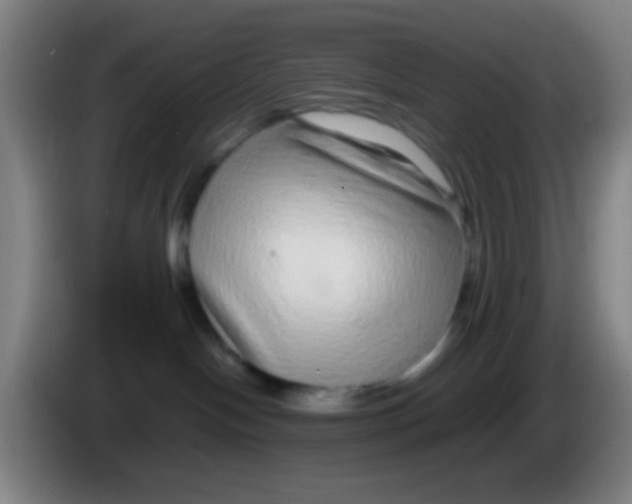 X0000085310094200703302032