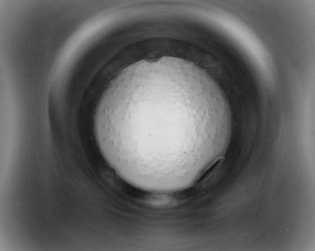 X0000085310095200703302032