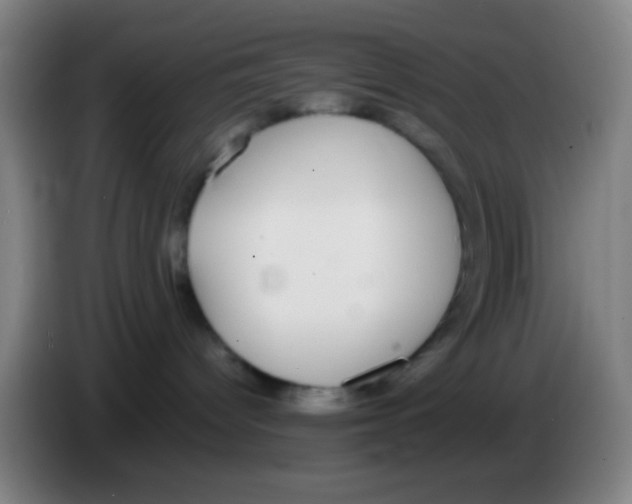 X0000085310096200703302032