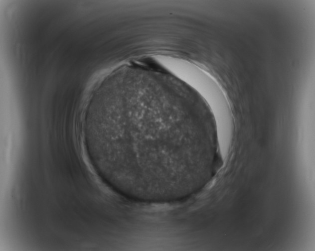 X0000085310097200703302031