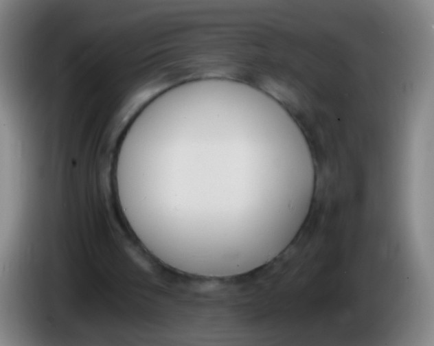 X0000085310098200703302031