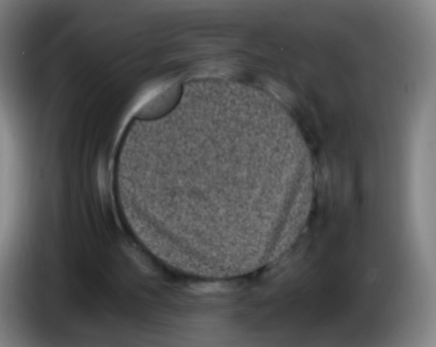 X0000085310100200703302031