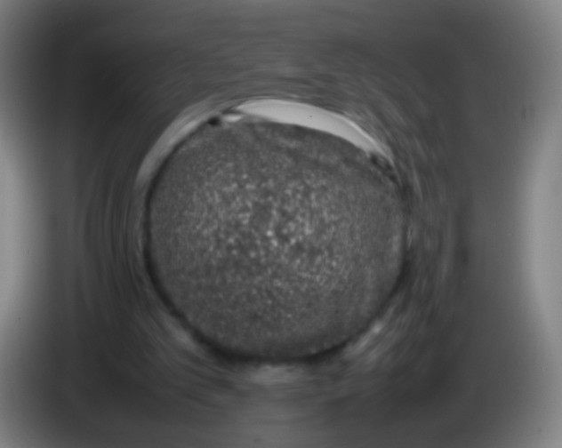 X0000085310101200703302031