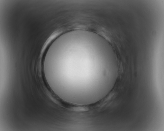 X0000085310102200703302031