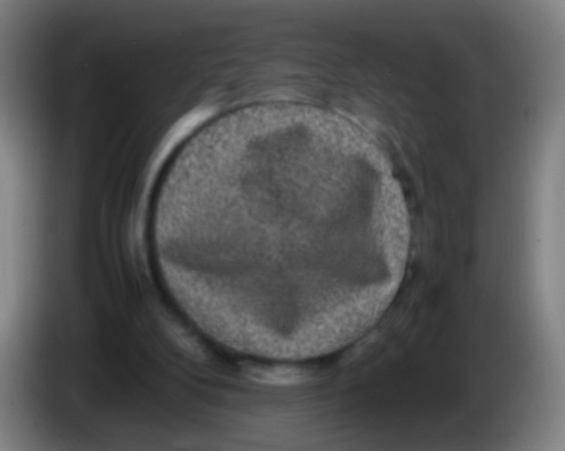 X0000085310104200703302031