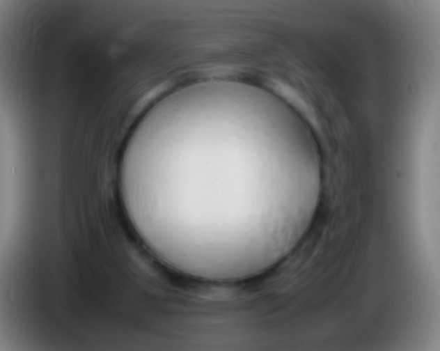 X0000085310107200703302031