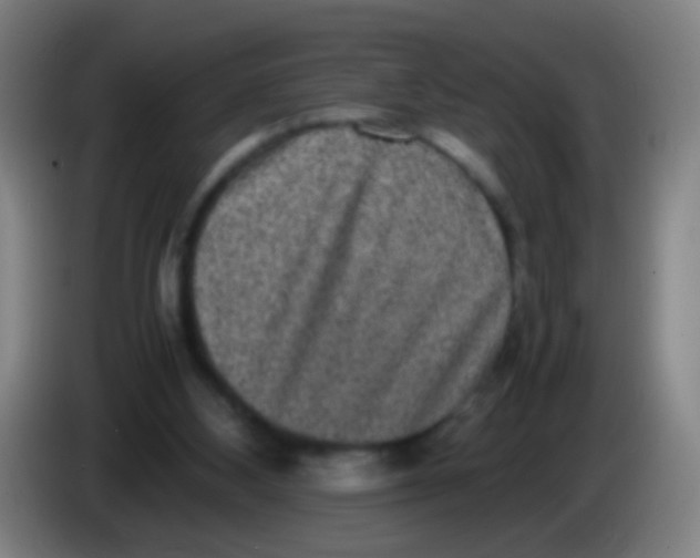 X0000085310108200703302031