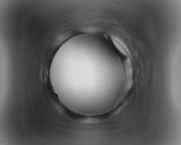 X0000085310109200703302031